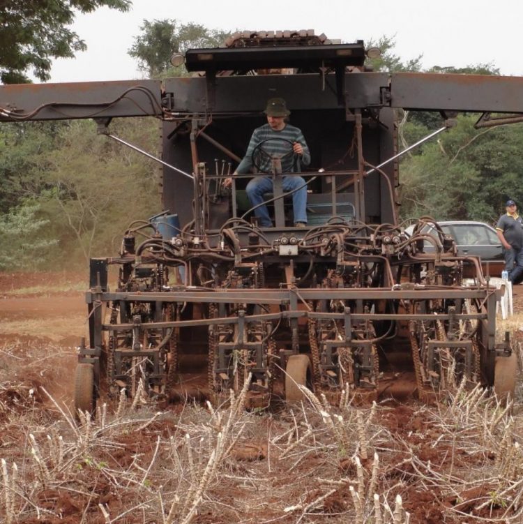 Mecanização da colheita das raízes de mandioca ABAM