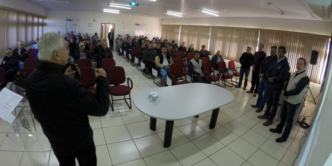 B36 é mais resistente a podridão e tem maior produção, avalia diretor da ABAM