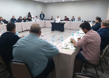 CEPEA aponta recuperação da produção de fécula e alerta que pode faltar mandioca