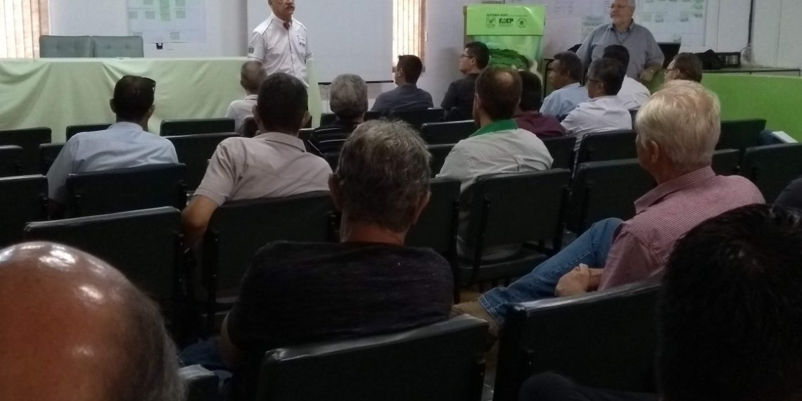 Precisamos resgatar a produtividade, diz Pierin sobre a cultura da mandioca