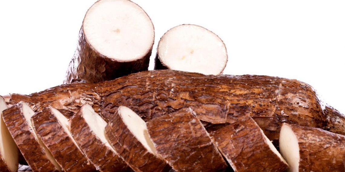 Ainda há algumas vagas para o curso sobre competitividade e sustentabilidade