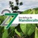 07/11 – Em defesa do Mandiocultor