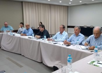 Ainda há incertezas, mas indícios são de recuperação da mandioca em 2020