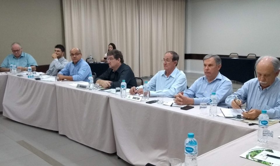 Ainda há incertezas, mas indícios são de recuperação da mandioca em 2020