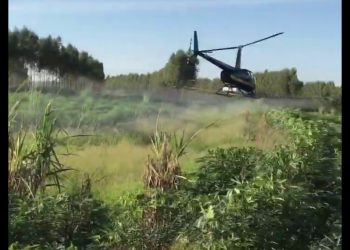 Demonstração de pulverização de lavoura de mandioca com helicóptero