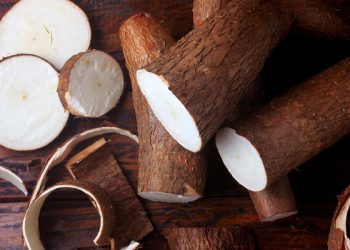 Tese de mestrado da Ufal transforma casca da macaxeira em combustível