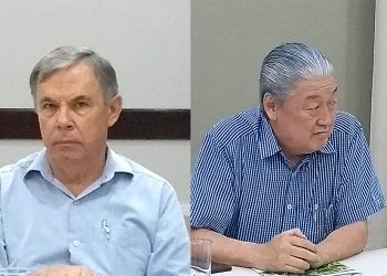 ABAM escolhe novos representantes para a Câmara Setorial da Mandioca