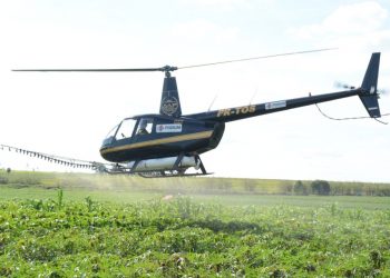 Técnicos e produtores rurais aprovam a pulverização da mandioca com helicóptero