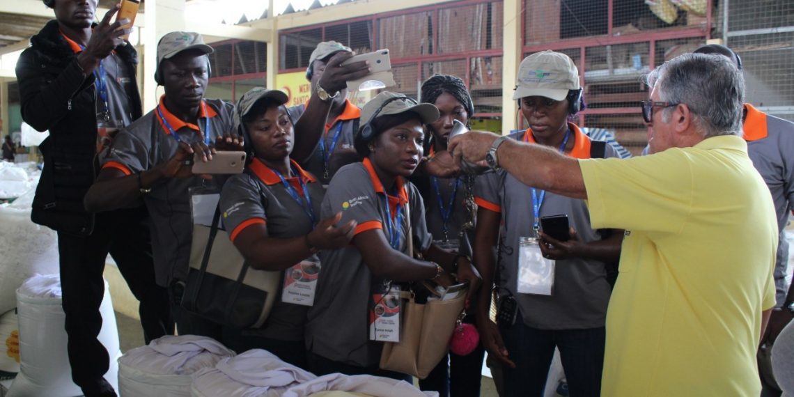 Africanos recebem treinamento na Embrapa sobre mandioca