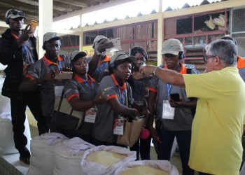 Africanos recebem treinamento na Embrapa sobre mandioca