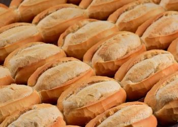 “Pão brasileiro” terá mandioca e pode custar bem menos