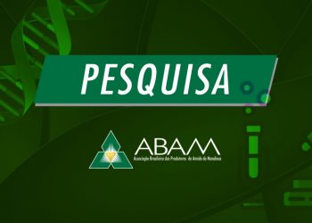 Mandioca geneticamente modificada pode garantir alimentação na África