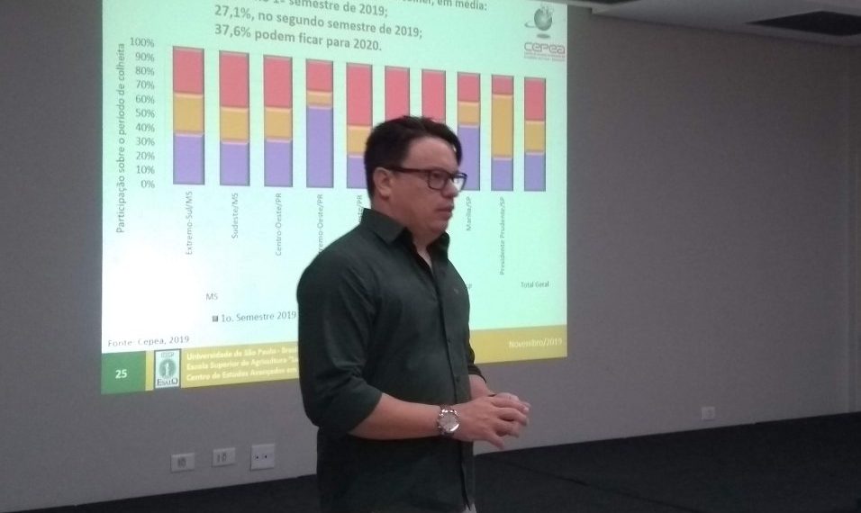 CEPEA trabalha com possibilidade de haver restrição de mandioca no primeiro semestre