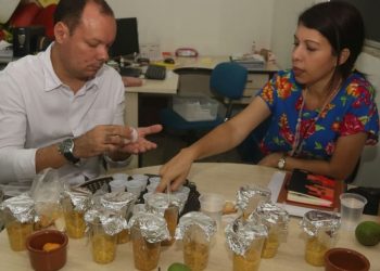 TO estuda exportar produtos da farinha de mandioca para Europa