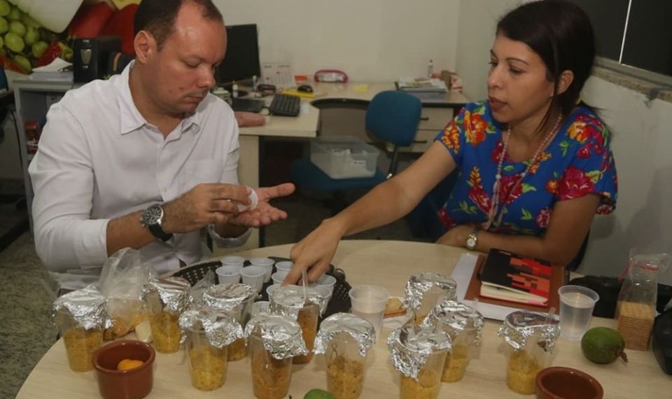 TO estuda exportar produtos da farinha de mandioca para Europa