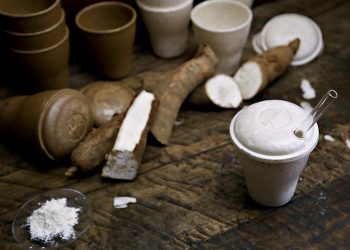 Loja comercializa copos, taças, colheres e potes feitos de fécula