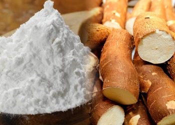 Mandioca/Retrospectiva 2019 – Preços caem até setembro, mas se recuperam no final de 2019