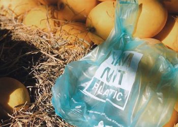 Biólogo cria sacola de mandioca que cai no mar e vira comida para peixes