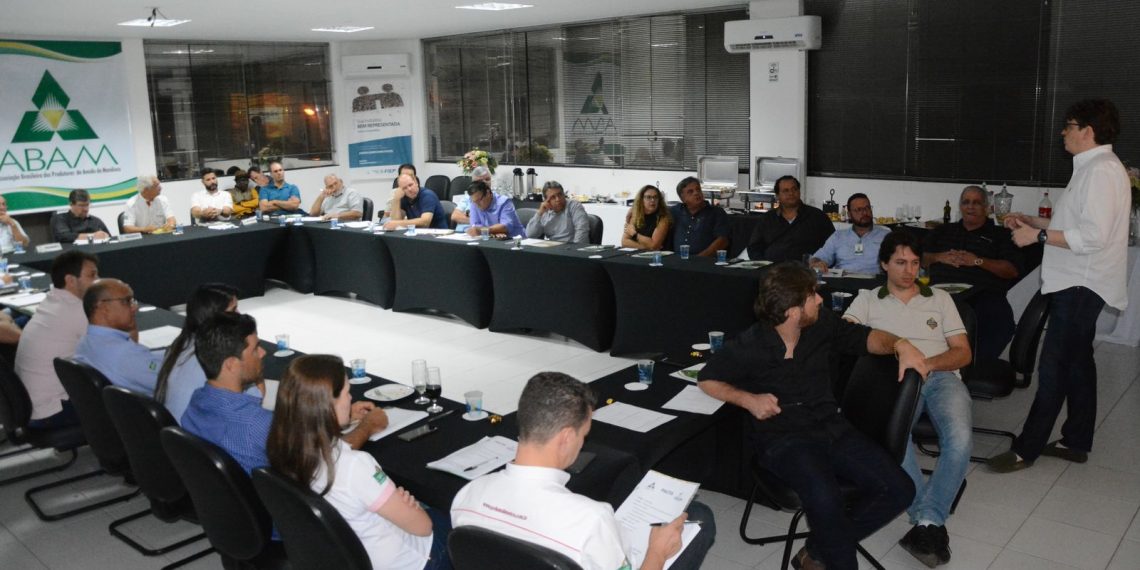 Fecularias têm potencial “gigantesco” para bioenergia usando os dejetos da mandioca