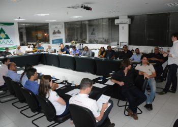 Fecularias têm potencial “gigantesco” para bioenergia usando os dejetos da mandioca