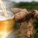 Cerveja feita de mandioca vira fonte de renda para agricultores do Maranhão