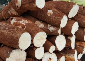 Ritmo de colheita diminui; demanda continua estável