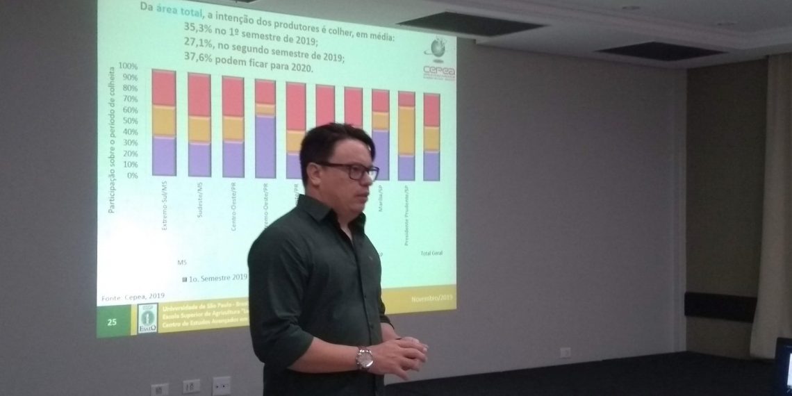 CEPEA avaliará impacto do Covid-19 na cadeia produtiva da mandioca