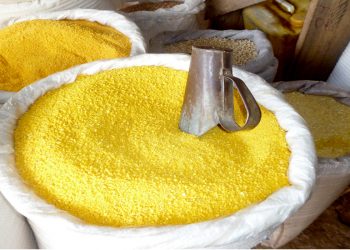 IBGE aponta que baianos diminuíram consumo de farinha