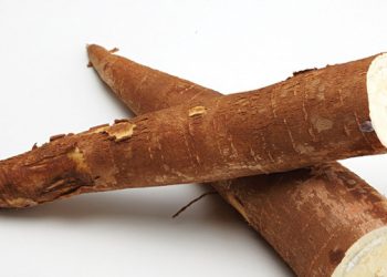 Prorrogada pesquisa para avaliar impacto da pandemia na cadeia produtiva da mandioca