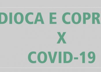 Pesquisa vai avaliar impacto da pandemia da Covid na cadeia produtiva da mandioca