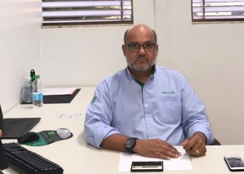 Perspectiva de mercado e Congresso da Mandioca, temas da reunião da ABAM