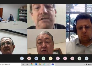 Pandemia provocou queda de até 30% na produção de metade das fecularias