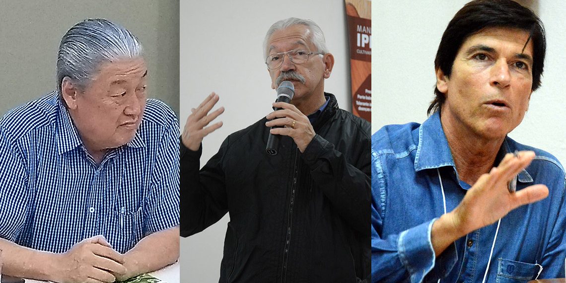 Cadeia Produtiva da mandioca e o impacto da pandemia, tema de webinar