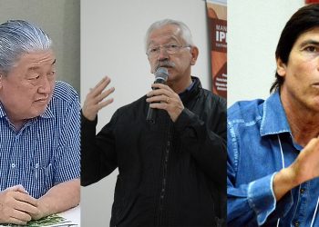 Cadeia Produtiva da mandioca e o impacto da pandemia, tema de webinar