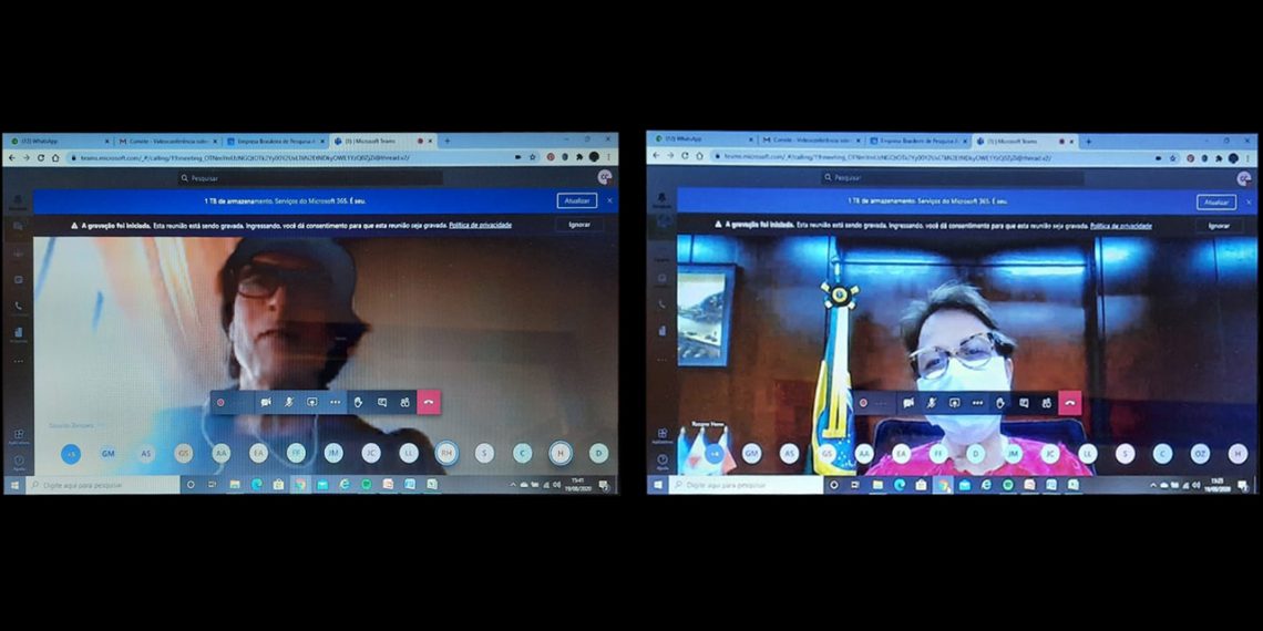 Câmara Setorial pede apoio do MAPA para a cadeia produtiva da mandioca