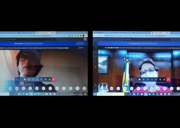 Câmara Setorial pede apoio do MAPA para a cadeia produtiva da mandioca