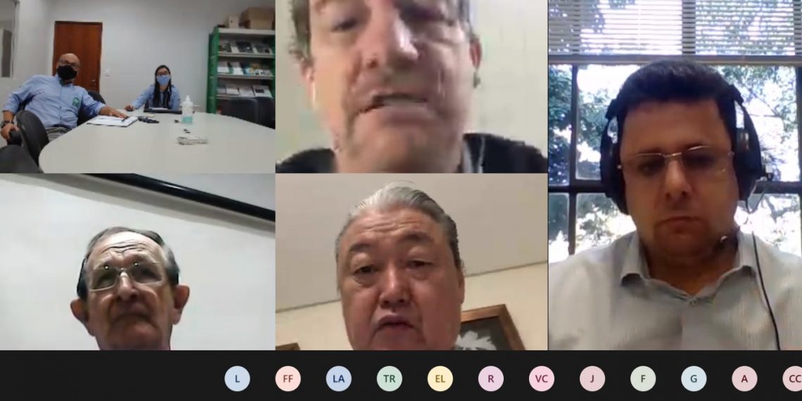 ABAM: industriais de amido vão discutir conjunturas do mercado da mandioca