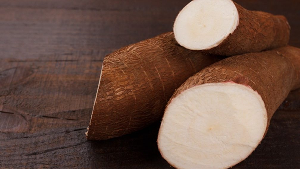 Mandioca é destaque na série “De onde vem o que eu como”