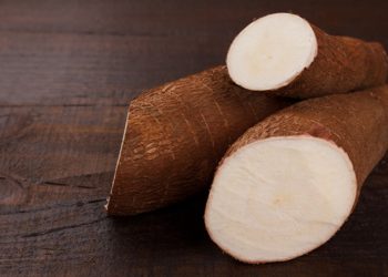 Mandioca é destaque na série “De onde vem o que eu como”