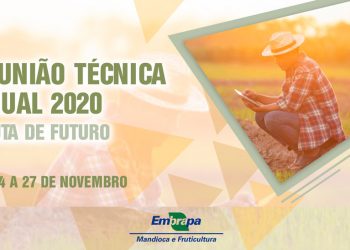 Embrapa disponibiliza ao público palestras de sua reunião técnica