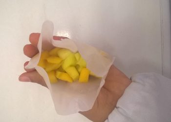 Pesquisa desenvolve embalagem biodegradável para exportação de manga