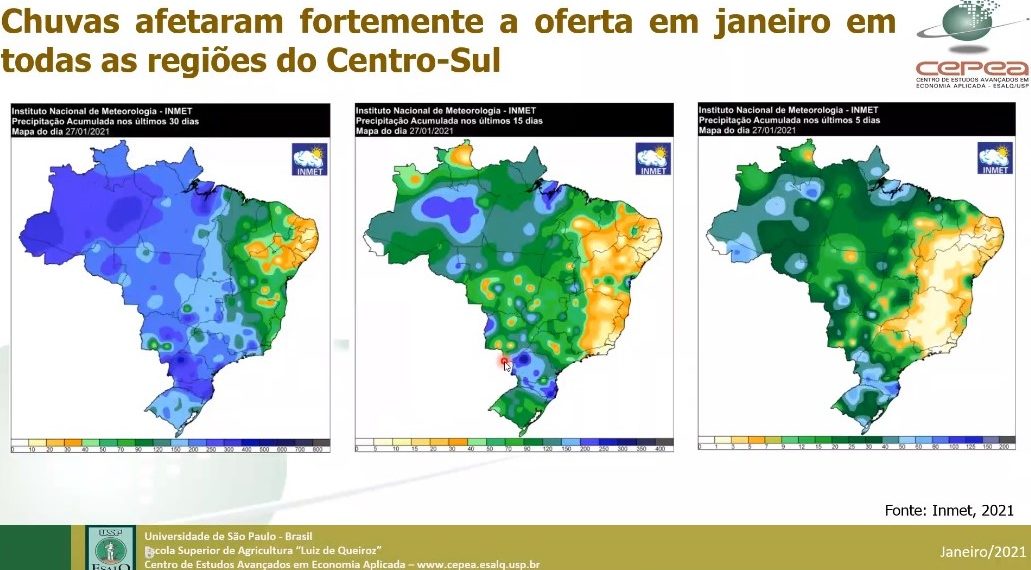 Chuvas prejudicam colheita, mas não comprometem a indústria de mandioca
