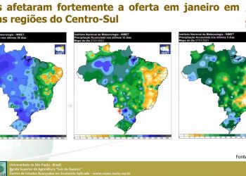 Chuvas prejudicam colheita, mas não comprometem a indústria de mandioca