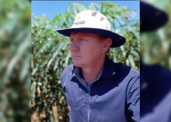 Mandiocultura encerra ano com oscilações no consumo e remuneração equilibrada