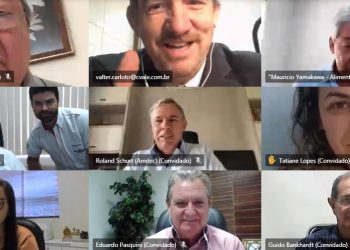 Desafio do setor é produzir 2 milhões de de fécula ao ano, diz presidente da ABAM