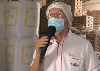 Área de plantio com mandioca deve diminuir 30% no Paraná