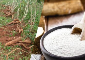 Oferta e demanda maiores no 1º semestre de 2021