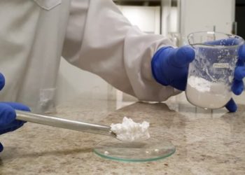 Técnica consegue produzir mandioca com amido especial