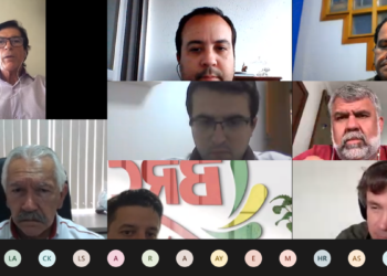 Mudança em regras sobre a tolerância do Bacillus Cereus preocupa fecularias