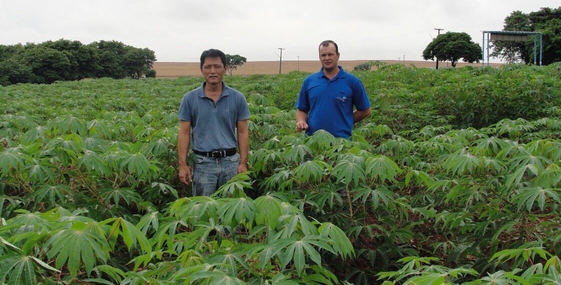 ATIMOP e IDR-Paraná atuam para levar conhecimento aos produtores